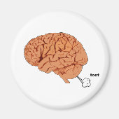 Hersenscheet Magneet (Voorkant)