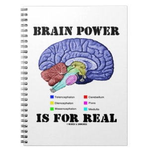 Hersenvermogen Is Echt Hersenanatomie Attitude Notitieboek