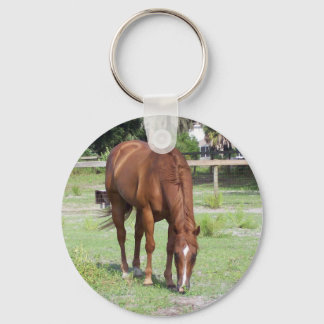hersheek sleutelhanger