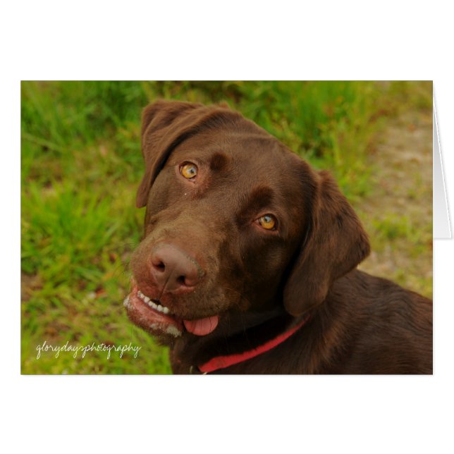 Hershey (Voorkant Horizontaal)