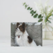 Hershey Kiss Hero Kennel DB Briefkaart (Staand voorkant)