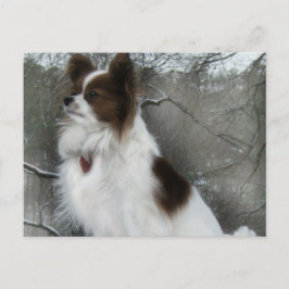 Hershey Kiss Hero Kennel DB Briefkaart