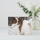 Hershey Kiss Hero Kennel Merchandise Briefkaart (Staand voorkant)