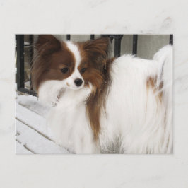 Hershey Kiss Hero Kennel Merchandise Briefkaart