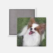 Hershey Kiss Hero Kennel Merchandise Magneet (Voorkant / Achterkant)