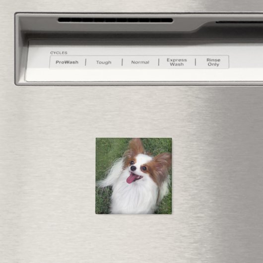 Hershey Kiss Hero Kennel Merchandise Magneet (Insitu (Vaatwasser))