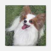 Hershey Kiss Hero Kennel Merchandise Magneet (Voorkant)