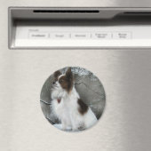 Hershey Kiss Hero Kennel Merchandise Magneet (Insitu (Vaatwasser))