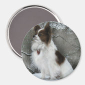 Hershey Kiss Hero Kennel Merchandise Magneet (Voorkant / Achterkant)