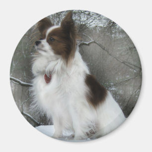 Hershey Kiss Hero Kennel Merchandise Magneet