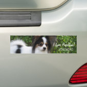 Hershey Kiss Hero Kennel Sticker beschikt over Gio (Op auto)