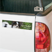 Hershey Kiss Hero Kennel Sticker beschikt over Gio (Op Truck)