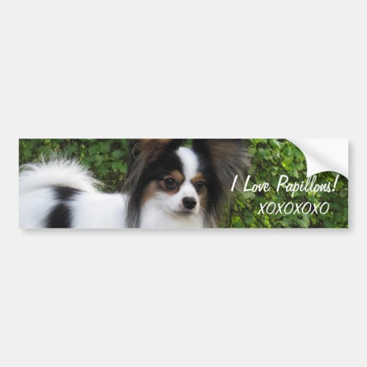 Hershey Kiss Hero Kennel Sticker beschikt over Gio (Voorkant)