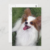 Hershey Kiss Hero Madi Merchandise Briefkaart (Voorkant / Achterkant)