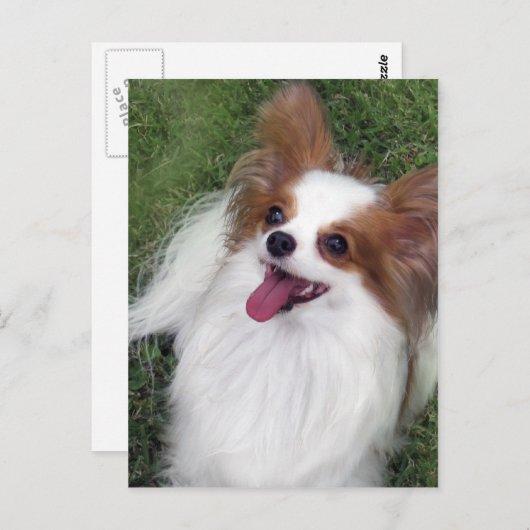 Hershey Kiss Hero Madi Merchandise Briefkaart (Voorkant / Achterkant)