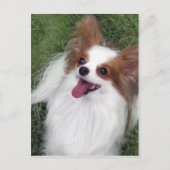 Hershey Kiss Hero Madi Merchandise Briefkaart (Voorkant)