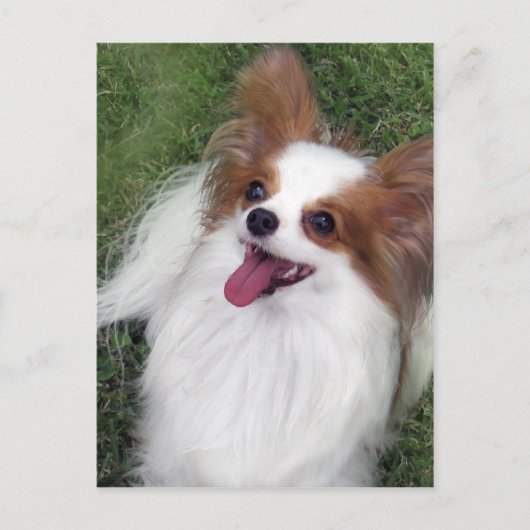 Hershey Kiss Hero Madi Merchandise Briefkaart (Voorkant)