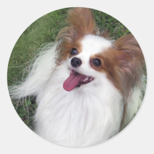 Hershey Kiss Hero Madi Merchandise Ronde Sticker