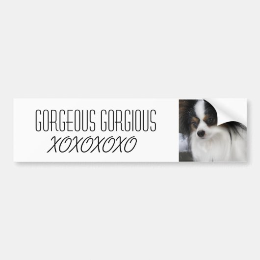 Hershey Kiss Hero Merch Bumpersticker (Voorkant)