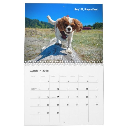 Hershey Pup Cavalier Koning Charles Spaniel Kalend Kalender (Mar 2026)