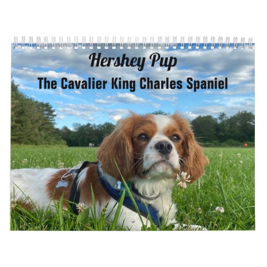 Hershey Pup Cavalier Koning Charles Spaniel Kalend Kalender (Hoes)