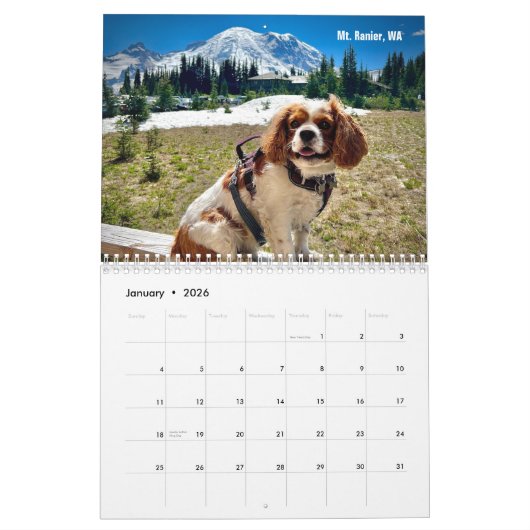 Hershey Pup Cavalier Koning Charles Spaniel Kalend Kalender (Jan 2026)
