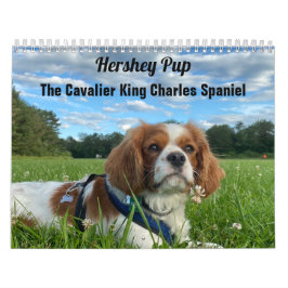 Hershey Pup Cavalier Koning Charles Spaniel Kalend Kalender