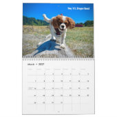 Hershey Pup Cavalier Koning Charles Spaniel Kalend Kalender (Mar 2027)