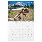 Hershey Pup Cavalier Koning Charles Spaniel Kalend Kalender (Jan 2027)