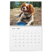 Hershey Pup Cavalier Koning Charles Spaniel Kalend Kalender (Mar 2026)