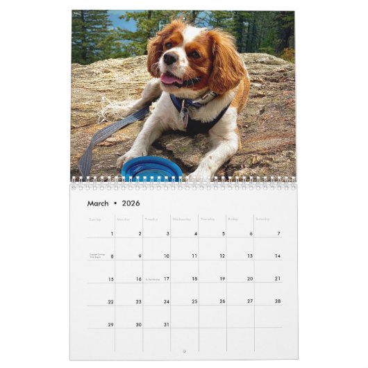 Hershey Pup Cavalier Koning Charles Spaniel Kalend Kalender (Mar 2026)