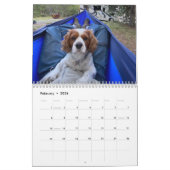 Hershey Pup Cavalier Koning Charles Spaniel Kalend Kalender (Feb 2026)