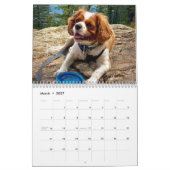 Hershey Pup Cavalier Koning Charles Spaniel Kalend Kalender (Mar 2027)