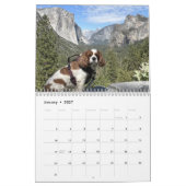 Hershey Pup Cavalier Koning Charles Spaniel Kalend Kalender (Jan 2027)