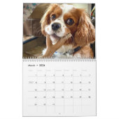 Hershey Pup Schattige Cavalier King Charles Calend Kalender (Mar 2026)