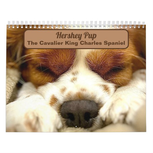 Hershey Pup Schattige Cavalier King Charles Calend Kalender (Hoes)