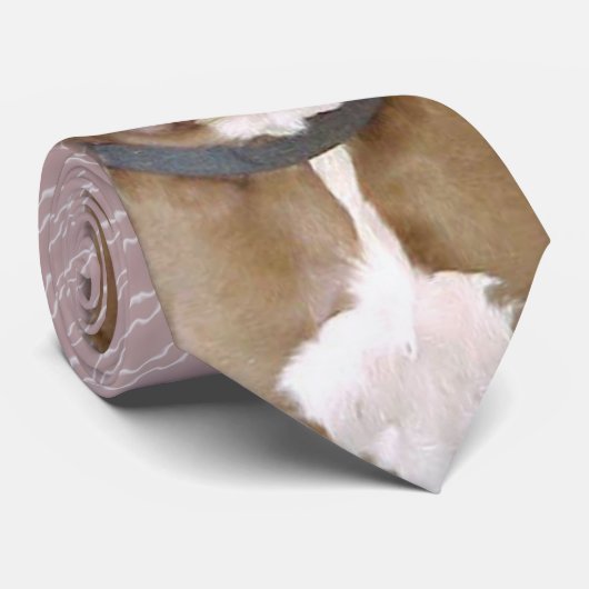 Hershey Stropdas (Opgerold)