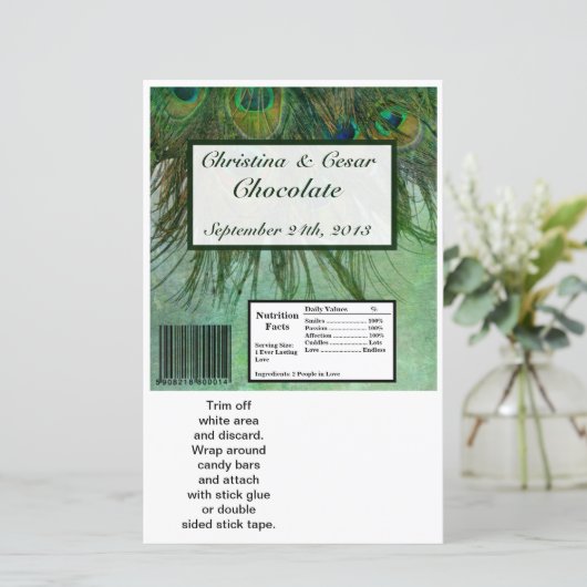 Hershey's Large Bar Wrapper Peacock Green Feathers (Staand voorkant)