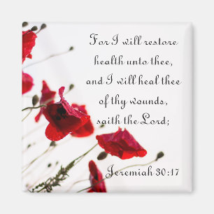 Herstel de gezondheid en genees de gezondheid van  magneet