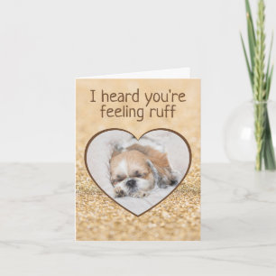 Herstel schattige hond shihtzu slapende hart glitt kaart