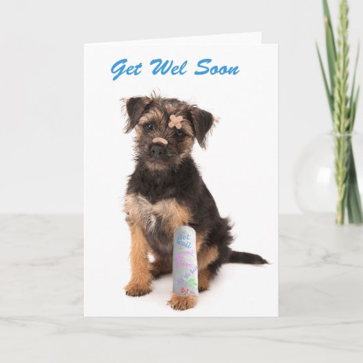 Herstel snel kaart Border Terrier hond (Voorkant)