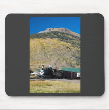 Herstelbare locomotief 315 in Silverton
