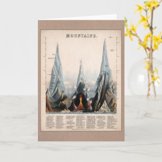  herstelde Mountain Height Infographic, 1850 Kaart (Gele Bloem)