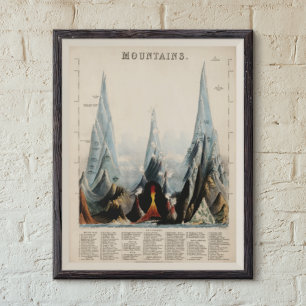 herstelde Mountain Height Infographic, 1850 Poster