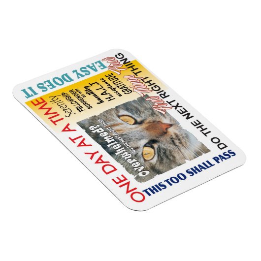 herstellogans magneet (Rechterzijde)