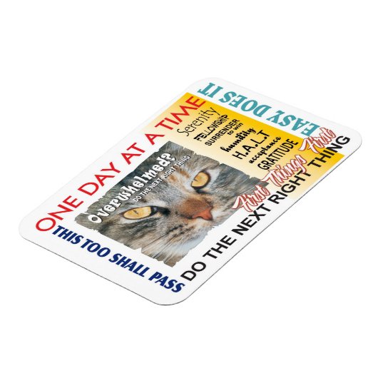 herstellogans magneet (Linkerzijde)