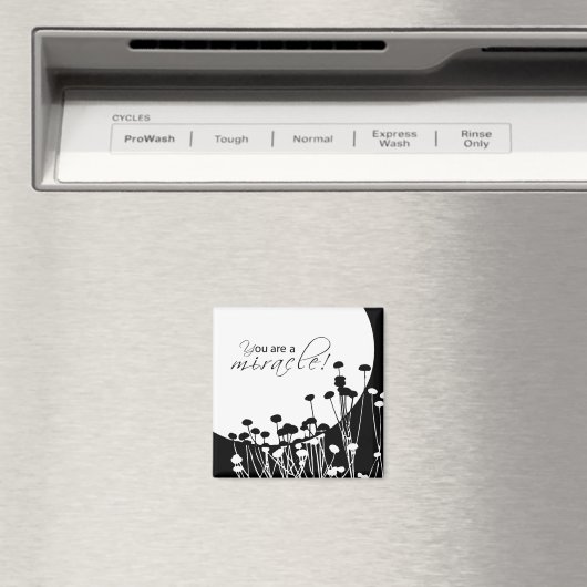 Herstelwonder, zwart en wit magneet (Insitu (Vaatwasser))