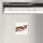 hert 2 magneet (Insitu (Vaatwasser))