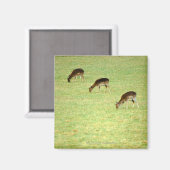 hert 2 magneet (Voorkant / Achterkant)