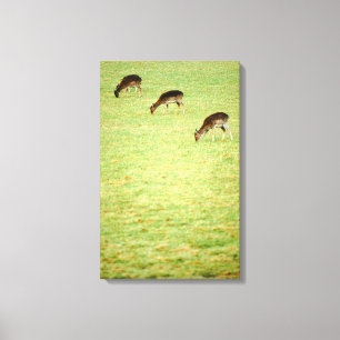 hert 3 canvas afdruk